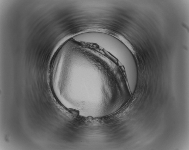 X0000096470955200802211147