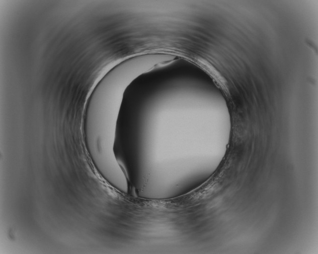 X0000096470956200802211147