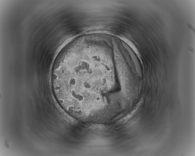 X0000096470957200802211147