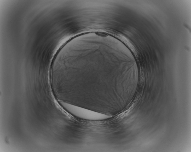 X0000096470958200802211147