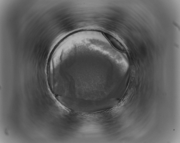 X0000096470959200802211147