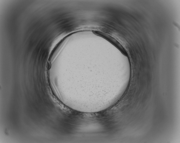 X0000096470960200802211147