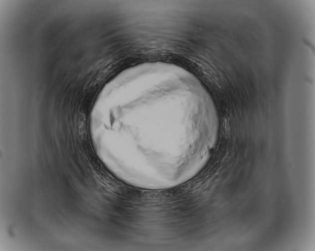 X0000096470963200802211146