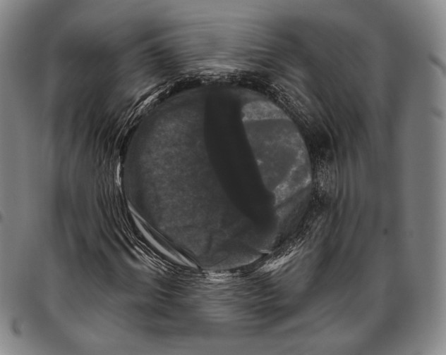 X0000096470964200802211146