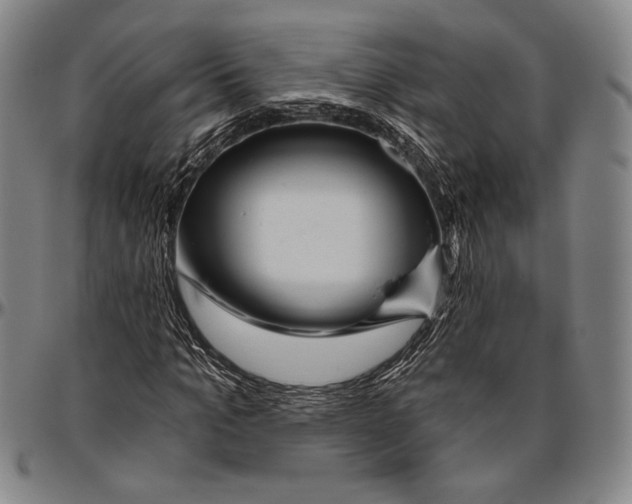 X0000096470965200802211146