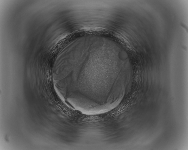 X0000096470966200802211146