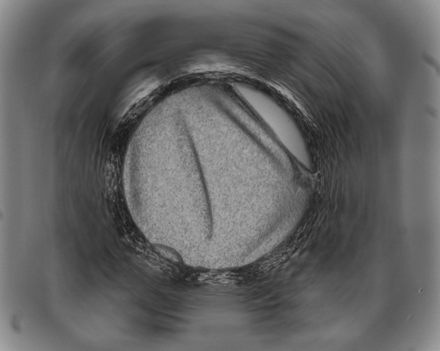 X0000096470967200802211146