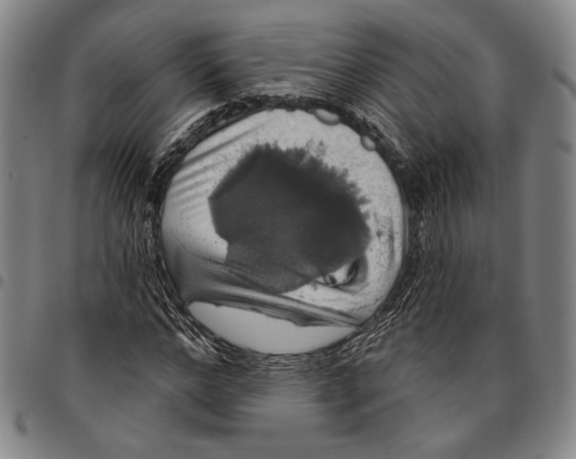 X0000096470968200802211146