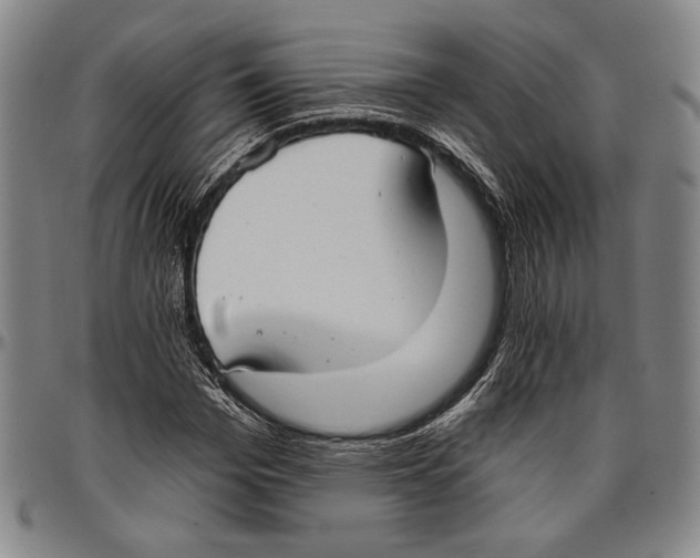 X0000096470969200802211146