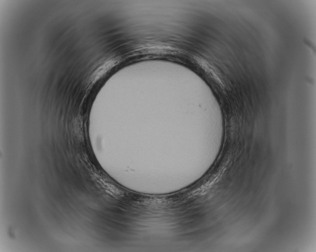 X0000096470970200802211146