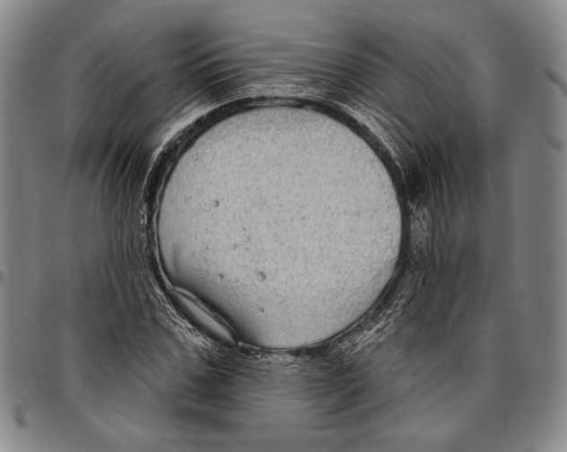 X0000096470971200802211146