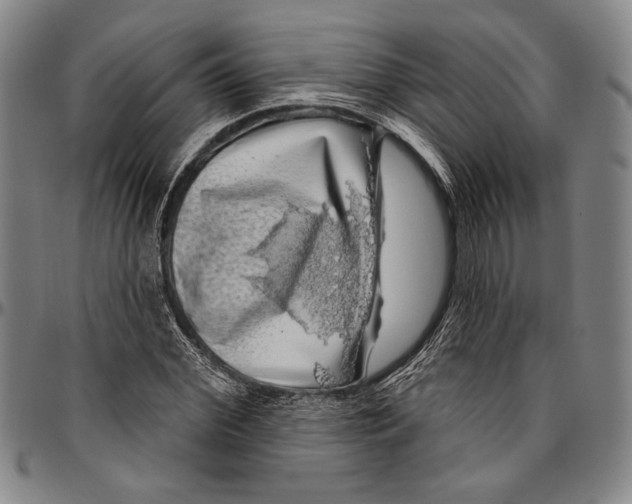 X0000096470972200802211146