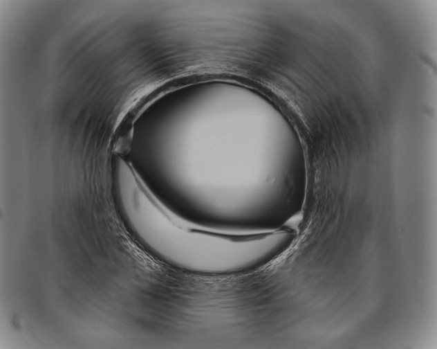 X0000096470973200802211146