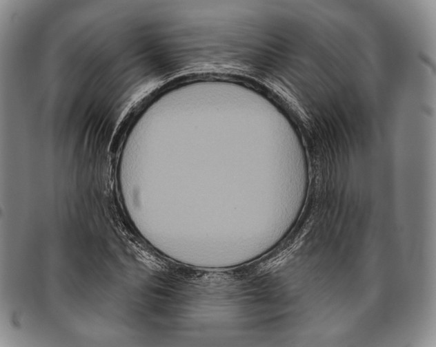 X0000096470974200802211146