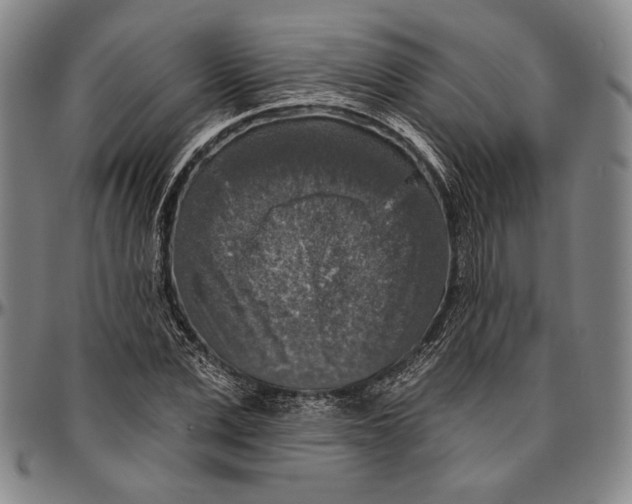 X0000096470975200802211146