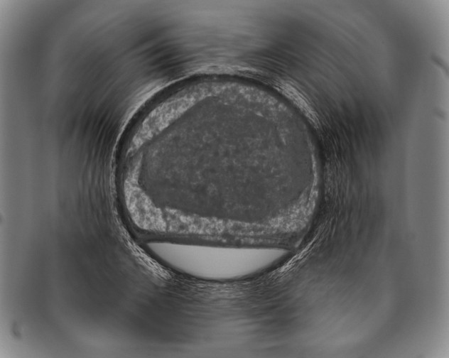 X0000096470976200802211146