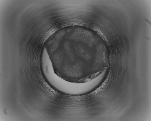 X0000096470977200802211146