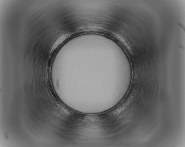 X0000096470978200802211146