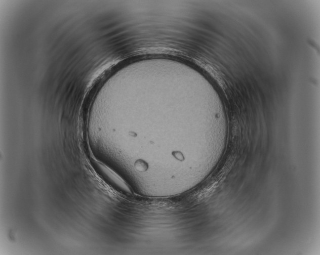 X0000096470979200802211146