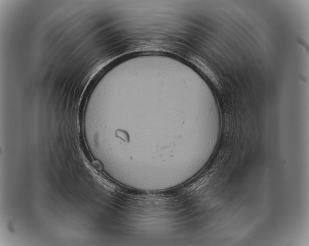 X0000096470980200802211146