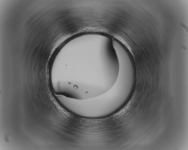 X0000096470981200802211146