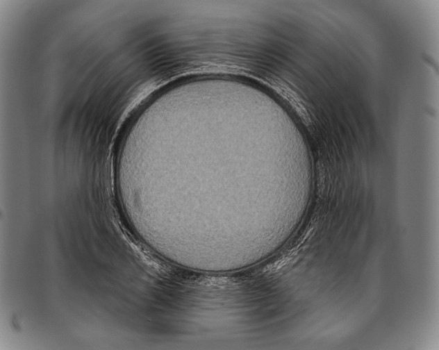 X0000096470982200802211146