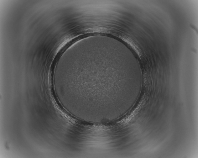 X0000096470983200802211146