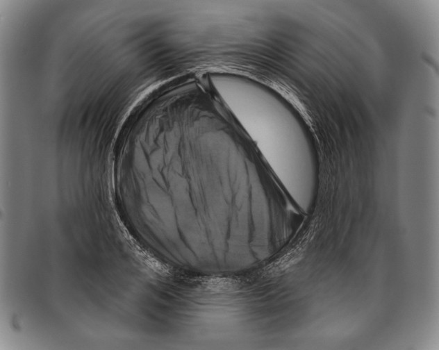 X0000096470984200802211146