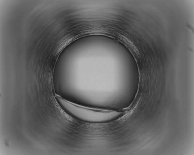 X0000096470985200802211146