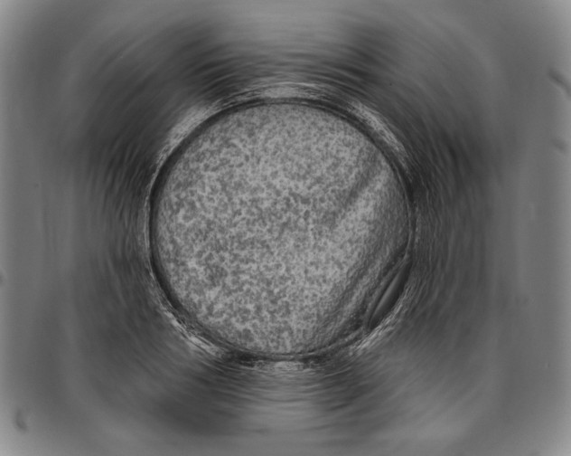 X0000096470986200802211146