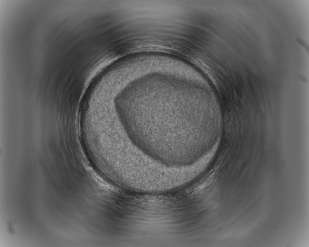 X0000096470987200802211146