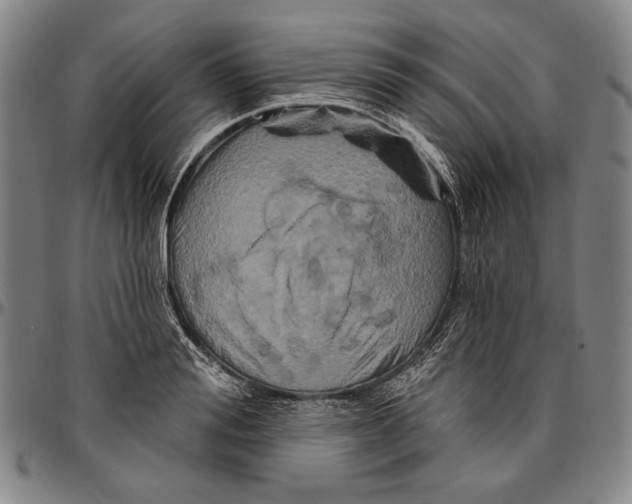 X0000096470988200802211146