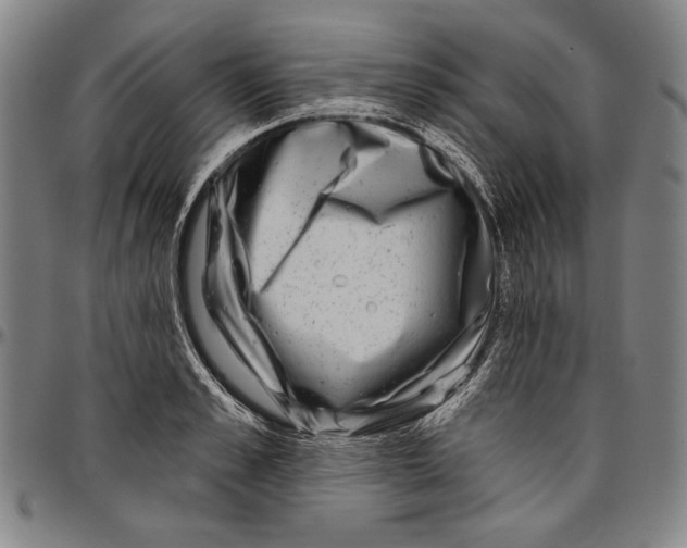 X0000096470989200802211146