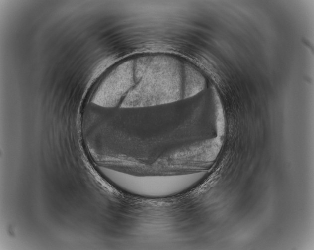 X0000096470990200802211146