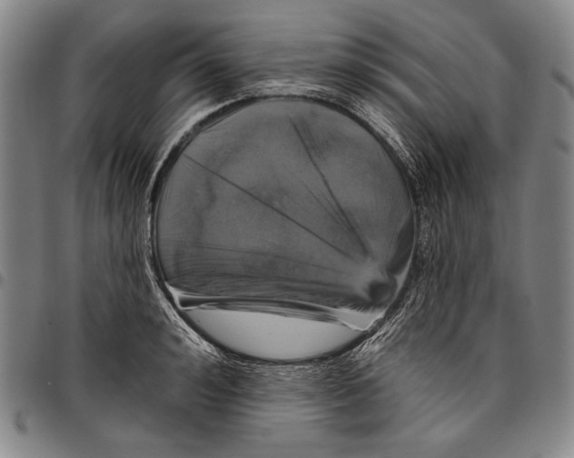 X0000096470992200802211146