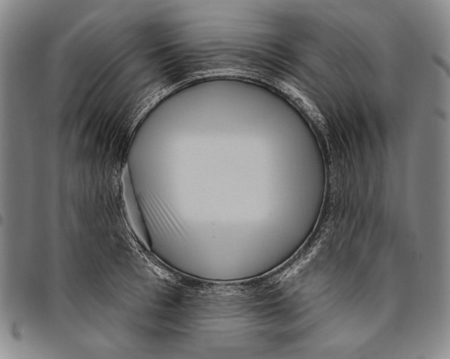 X0000096470993200802211146