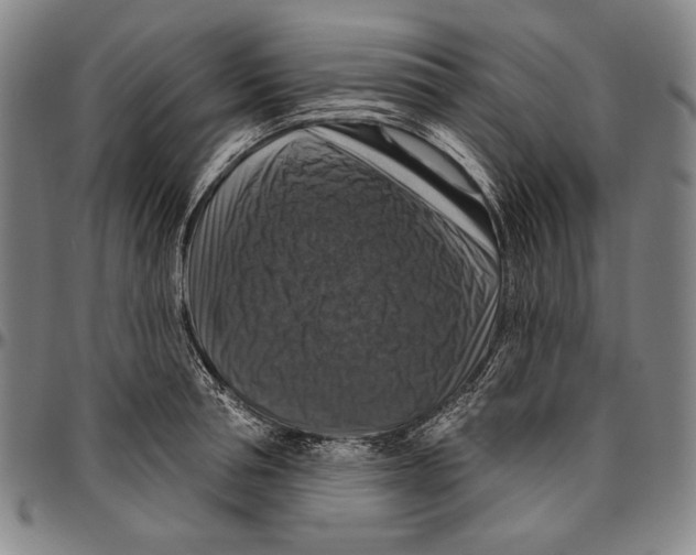 X0000096470994200802211146