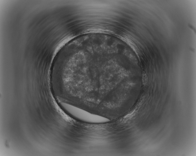 X0000096470995200802211146