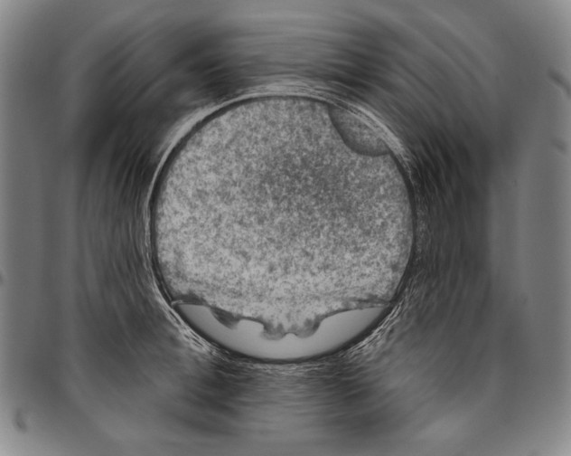 X0000096470996200802211146