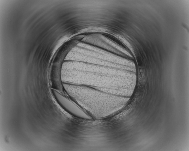 X0000096470997200802211146