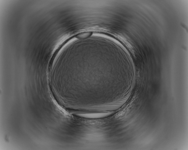 X0000096470998200802211146