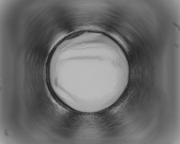 X0000096470999200802211146