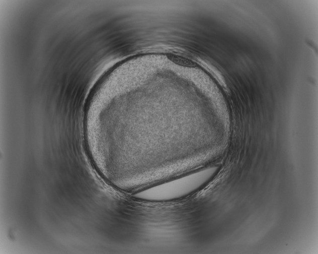 X0000096471000200802211146