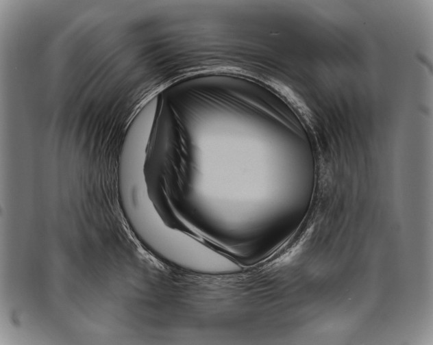 X0000096471001200802211146