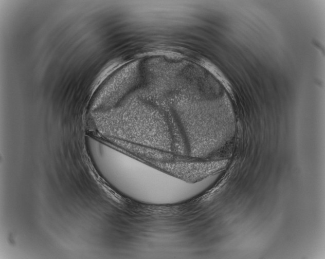 X0000096471002200802211146