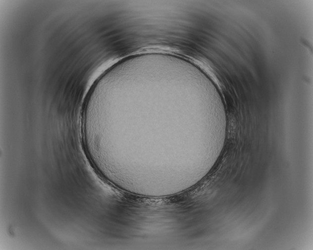 X0000096471003200802211146