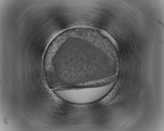 X0000096471004200802211146