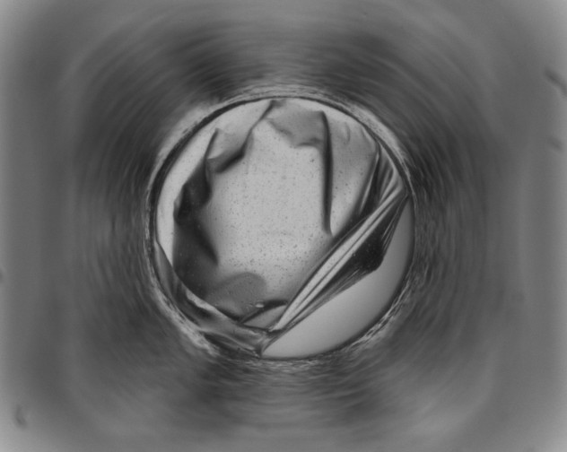 X0000096471005200802211146