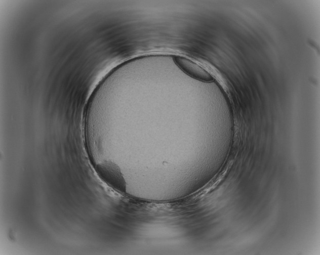 X0000096471006200802211146