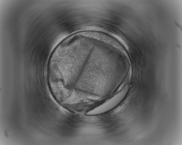 X0000096471007200802211146